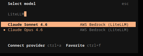 opencode-litellm-models